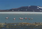 Laguna Brava La Rioja